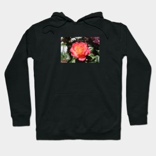 Dreamy Orange Rose Photograph Hoodie